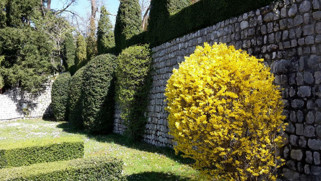 Palazzo Scolari Bed & Breakfast Polcenigo Екстериор снимка